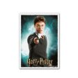 Dragon Shield Art Sleeves - WizardingWorld: Harry Potter Hot on Sale