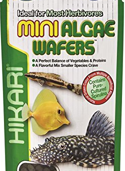 MINI ALGAE WAFERS 22g Online